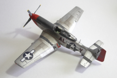 Tamiya 1/48 P-51 Mustang